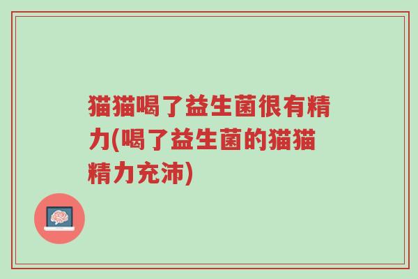 猫猫喝了益生菌很有精力(喝了益生菌的猫猫精力充沛)-第1张图片-超越 猫猫喝了益生菌很有精力(喝了益生菌的猫猫精力充沛)-第1张图片-超越