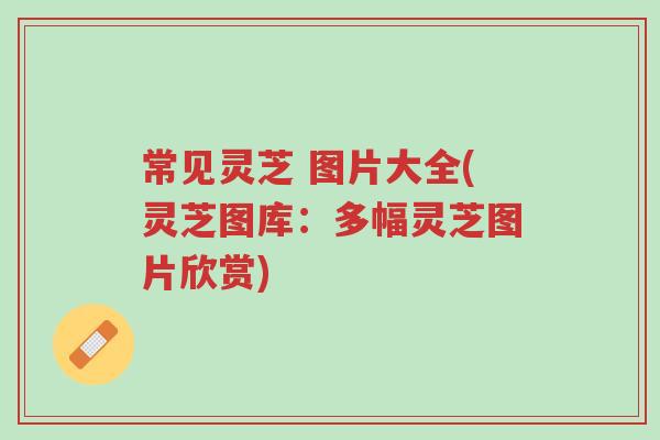 常见灵芝 图片大全(灵芝图库:多幅灵芝图片欣赏)-第1张图片-超越 常见灵芝 图片大全(灵芝图库:多幅灵芝图片欣赏)-第1张图片-超越