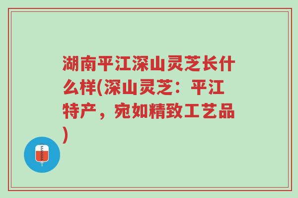 湖南平江深山灵芝长什么样(深山灵芝:平江特产,宛如精致工艺品)-第1张图片-超越 湖南平江深山灵芝长什么样(深山灵芝:平江特产,宛如精致工艺品)-第1张图片-超越