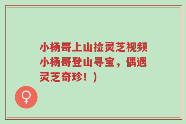 小杨哥上山捡灵芝视频小杨哥登山寻宝,偶遇灵芝奇珍!)-第1张图片-超越 小杨哥上山捡灵芝视频小杨哥登山寻宝,偶遇灵芝奇珍!)-第1张图片-超越