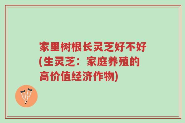 家里树根长灵芝好不好(生灵芝:家庭养殖的高价值经济作物)-第1张图片-超越 家里树根长灵芝好不好(生灵芝:家庭养殖的高价值经济作物)-第1张图片-超越