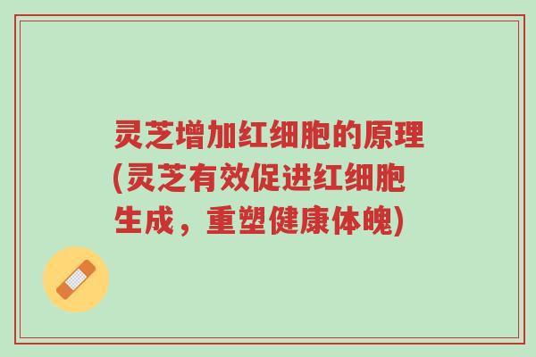 灵芝增加红细胞的原理(灵芝有效促进红细胞生成,重塑健康体魄)-第1张图片-超越 灵芝增加红细胞的原理(灵芝有效促进红细胞生成,重塑健康体魄)-第1张图片-超越