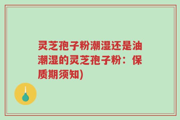 灵芝孢子粉潮湿还是油潮湿的灵芝孢子粉：保质期须知)-第1张图片-超越