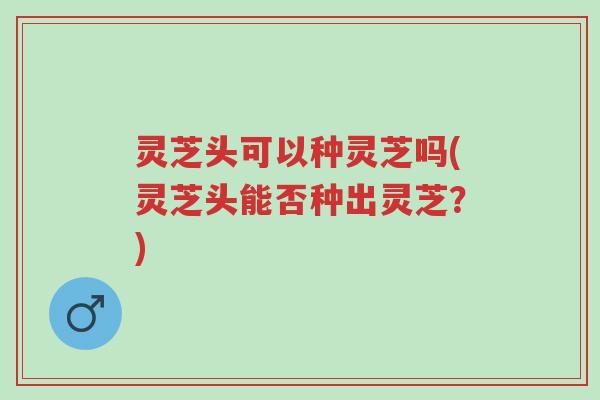 灵芝头可以种灵芝吗(灵芝头能否种出灵芝?)-第1张图片-超越 灵芝头可以种灵芝吗(灵芝头能否种出灵芝?)-第1张图片-超越