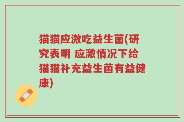 猫猫应激吃益生菌(研究表明 应激情况下给猫猫补充益生菌有益健康)-第1张图片-超越 猫猫应激吃益生菌(研究表明 应激情况下给猫猫补充益生菌有益健康)-第1张图片-超越
