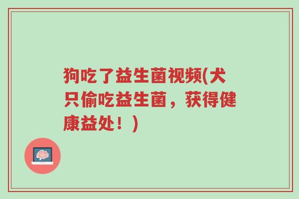 狗吃了益生菌视频(犬只偷吃益生菌,获得健康益处!)-第1张图片-超越 狗吃了益生菌视频(犬只偷吃益生菌,获得健康益处!)-第1张图片-超越