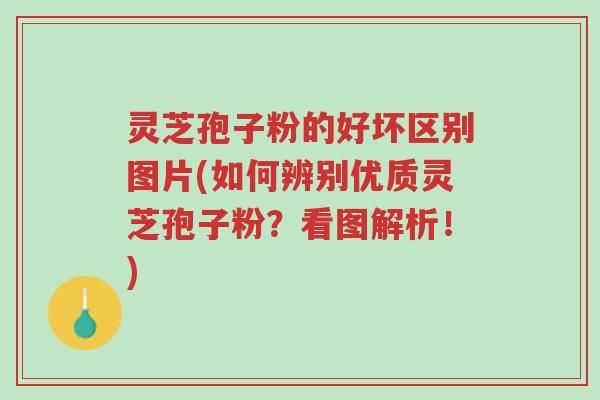 灵芝孢子粉的好坏区别图片(如何辨别优质灵芝孢子粉?看图解析!)-第1张图片-超越 灵芝孢子粉的好坏区别图片(如何辨别优质灵芝孢子粉?看图解析!)-第1张图片-超越