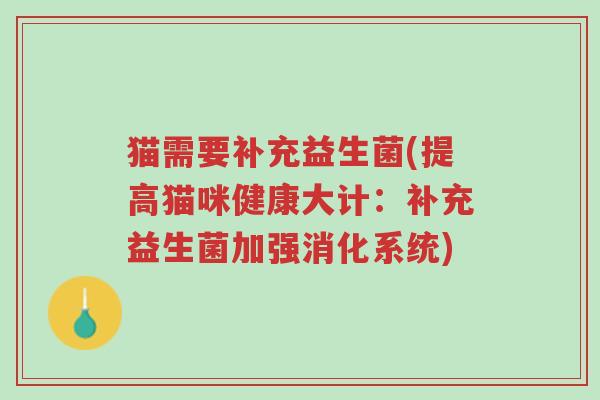 猫需要补充益生菌(提高猫咪健康大计:补充益生菌加强消化系统)-第1张图片-超越 猫需要补充益生菌(提高猫咪健康大计:补充益生菌加强消化系统)-第1张图片-超越