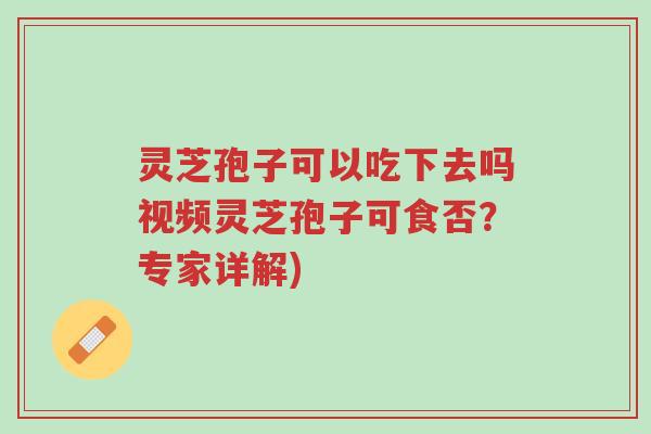 灵芝孢子可以吃下去吗视频灵芝孢子可食否?专家详解)-第1张图片-超越 灵芝孢子可以吃下去吗视频灵芝孢子可食否?专家详解)-第1张图片-超越