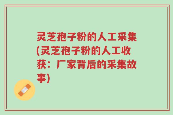 灵芝孢子粉的人工采集(灵芝孢子粉的人工收获:厂家背后的采集故事)-第1张图片-超越 灵芝孢子粉的人工采集(灵芝孢子粉的人工收获:厂家背后的采集故事)-第1张图片-超越