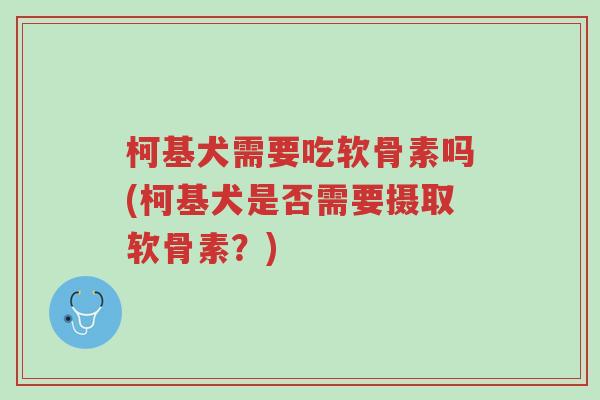柯基犬需要吃软骨素吗(柯基犬是否需要摄取软骨素?)-第1张图片-超越 柯基犬需要吃软骨素吗(柯基犬是否需要摄取软骨素?)-第1张图片-超越