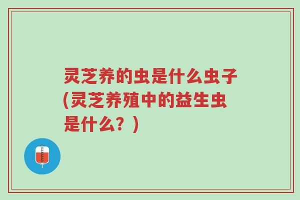 灵芝养的虫是什么虫子(灵芝养殖中的益生虫是什么?)-第1张图片-超越 灵芝养的虫是什么虫子(灵芝养殖中的益生虫是什么?)-第1张图片-超越
