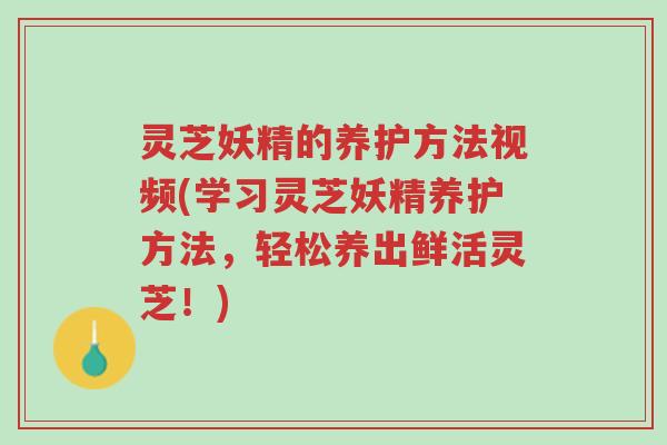 灵芝妖精的养护方法视频(学习灵芝妖精养护方法,轻松养出鲜活灵芝!)-第1张图片-超越 灵芝妖精的养护方法视频(学习灵芝妖精养护方法,轻松养出鲜活灵芝!)-第1张图片-超越