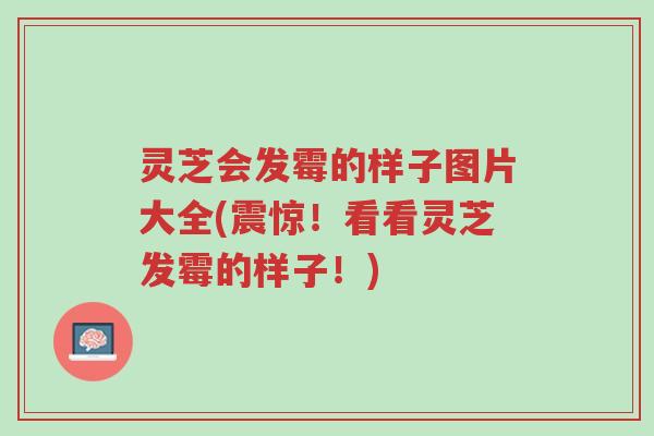 灵芝会发霉的样子图片大全(震惊!看看灵芝发霉的样子!)-第1张图片-超越 灵芝会发霉的样子图片大全(震惊!看看灵芝发霉的样子!)-第1张图片-超越
