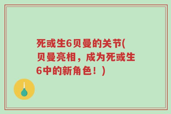 死或生6贝曼的关节(贝曼亮相,成为死或生6中的新角色!)-第1张图片-超越 死或生6贝曼的关节(贝曼亮相,成为死或生6中的新角色!)-第1张图片-超越