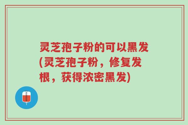 灵芝孢子粉的可以黑发(灵芝孢子粉,修复发根,获得浓密黑发)-第1张图片-超越 灵芝孢子粉的可以黑发(灵芝孢子粉,修复发根,获得浓密黑发)-第1张图片-超越