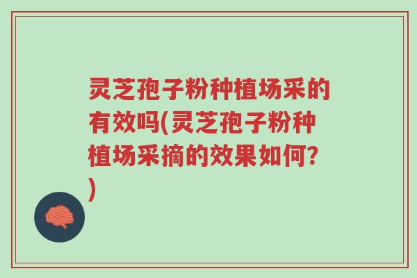 灵芝孢子粉种植场采的有效吗(灵芝孢子粉种植场采摘的效果如何？)-第1张图片-超越