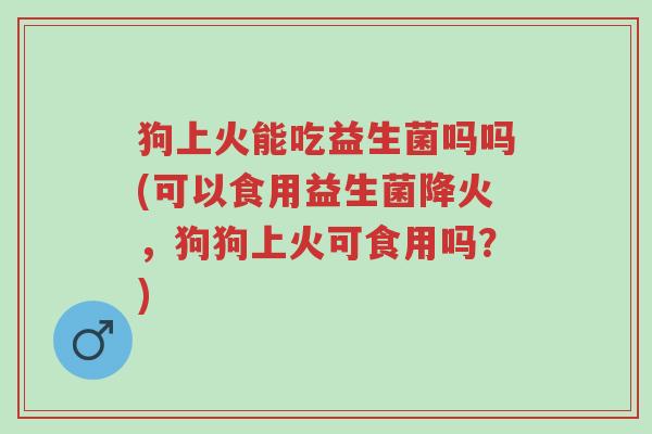 狗上火能吃益生菌吗吗(可以食用益生菌降火,狗狗上火可食用吗?)-第1张图片-超越 狗上火能吃益生菌吗吗(可以食用益生菌降火,狗狗上火可食用吗?)-第1张图片-超越