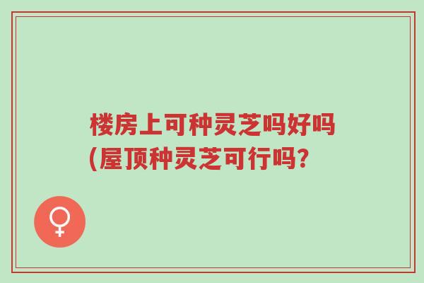 楼房上可种灵芝吗好吗(屋顶种灵芝可行吗?-第1张图片-超越 楼房上可种灵芝吗好吗(屋顶种灵芝可行吗?-第1张图片-超越