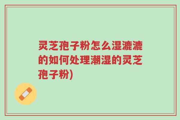 灵芝孢子粉怎么湿漉漉的如何处理潮湿的灵芝孢子粉)-第1张图片-超越 灵芝孢子粉怎么湿漉漉的如何处理潮湿的灵芝孢子粉)-第1张图片-超越