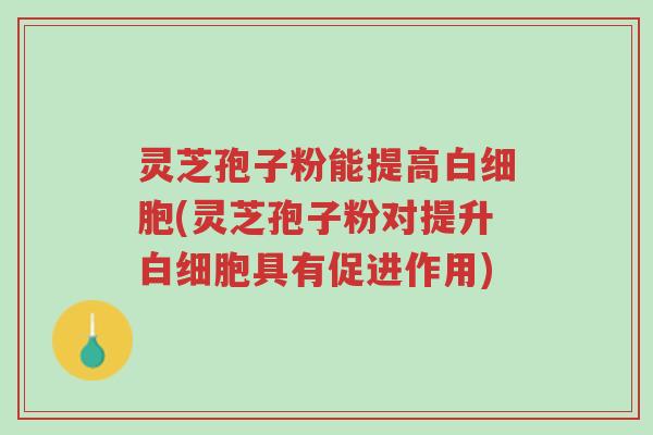 灵芝孢子粉能提高白细胞(灵芝孢子粉对提升白细胞具有促进作用)-第1张图片-超越