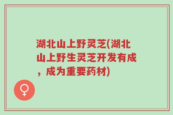 湖北山上野灵芝(湖北山上野生灵芝开发有成,成为重要药材)-第1张图片-超越 湖北山上野灵芝(湖北山上野生灵芝开发有成,成为重要药材)-第1张图片-超越