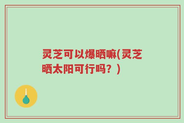 灵芝可以爆晒嘛(灵芝晒太阳可行吗?)-第1张图片-超越 灵芝可以爆晒嘛(灵芝晒太阳可行吗?)-第1张图片-超越
