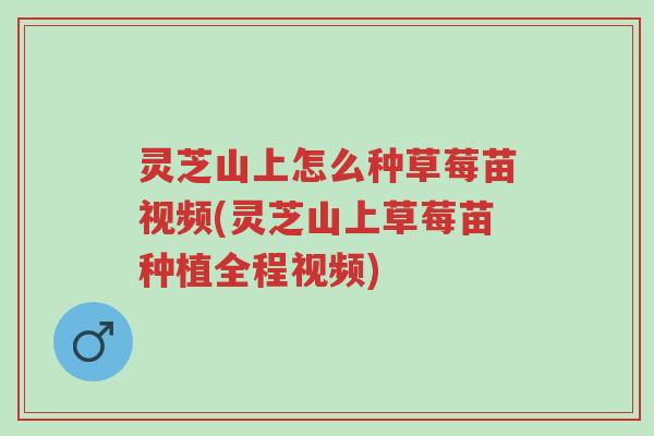 灵芝山上怎么种草莓苗视频(灵芝山上草莓苗种植全程视频)-第1张图片-超越