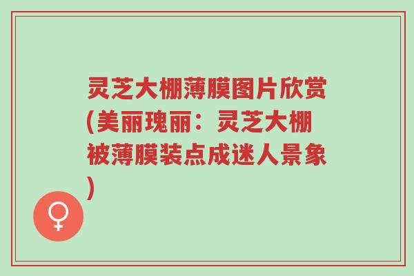 灵芝大棚薄膜图片欣赏(美丽瑰丽:灵芝大棚被薄膜装点成迷人景象)-第1张图片-超越 灵芝大棚薄膜图片欣赏(美丽瑰丽:灵芝大棚被薄膜装点成迷人景象)-第1张图片-超越
