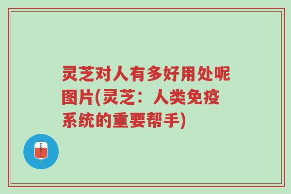 灵芝对人有多好用处呢图片(灵芝:人类免疫系统的重要帮手)-第1张图片-超越 灵芝对人有多好用处呢图片(灵芝:人类免疫系统的重要帮手)-第1张图片-超越