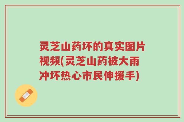 灵芝山药坏的真实图片视频(灵芝山药被大雨冲坏热心市民伸援手)-第1张图片-超越