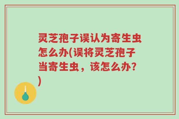 灵芝孢子误认为寄生虫怎么办(误将灵芝孢子当寄生虫,该怎么办?)-第1张图片-超越 灵芝孢子误认为寄生虫怎么办(误将灵芝孢子当寄生虫,该怎么办?)-第1张图片-超越