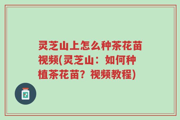 灵芝山上怎么种茶花苗视频(灵芝山:如何种植茶花苗?视频教程)-第1张图片-超越 灵芝山上怎么种茶花苗视频(灵芝山:如何种植茶花苗?视频教程)-第1张图片-超越