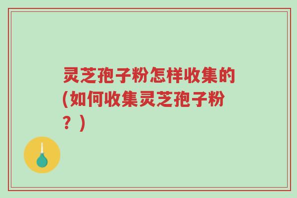 灵芝孢子粉怎样收集的(如何收集灵芝孢子粉?)-第1张图片-超越 灵芝孢子粉怎样收集的(如何收集灵芝孢子粉?)-第1张图片-超越