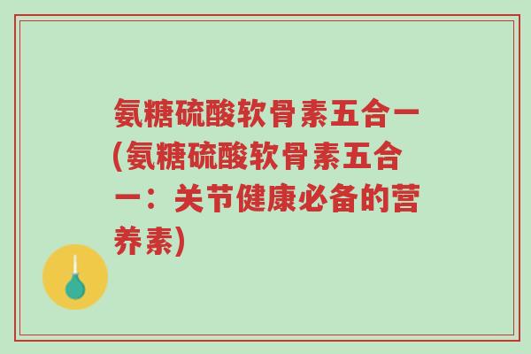 氨糖硫酸软骨素五合一(氨糖硫酸软骨素五合一:关节健康必备的营养素)-第1张图片-超越 氨糖硫酸软骨素五合一(氨糖硫酸软骨素五合一:关节健康必备的营养素)-第1张图片-超越