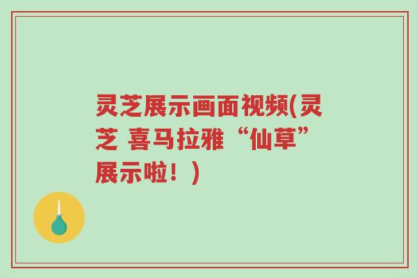 灵芝展示画面视频(灵芝 喜马拉雅“仙草”展示啦！)-第1张图片-超越