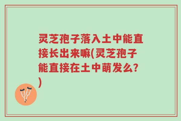 灵芝孢子落入土中能直接长出来嘛(灵芝孢子能直接在土中萌发么?)-第1张图片-超越 灵芝孢子落入土中能直接长出来嘛(灵芝孢子能直接在土中萌发么?)-第1张图片-超越