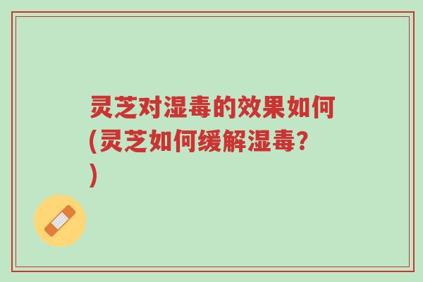 灵芝对湿毒的效果如何(灵芝如何缓解湿毒?)-第1张图片-超越 灵芝对湿毒的效果如何(灵芝如何缓解湿毒?)-第1张图片-超越