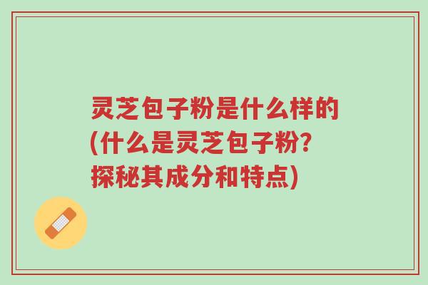 灵芝包子粉是什么样的(什么是灵芝包子粉?探秘其成分和特点)-第1张图片-超越 灵芝包子粉是什么样的(什么是灵芝包子粉?探秘其成分和特点)-第1张图片-超越