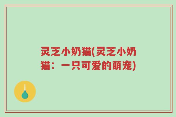 灵芝小奶猫(灵芝小奶猫:一只可爱的萌宠)-第1张图片-超越 灵芝小奶猫(灵芝小奶猫:一只可爱的萌宠)-第1张图片-超越
