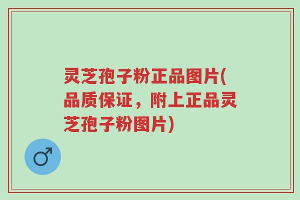 灵芝孢子粉正品图片(品质保证,附上正品灵芝孢子粉图片)-第1张图片-超越 灵芝孢子粉正品图片(品质保证,附上正品灵芝孢子粉图片)-第1张图片-超越