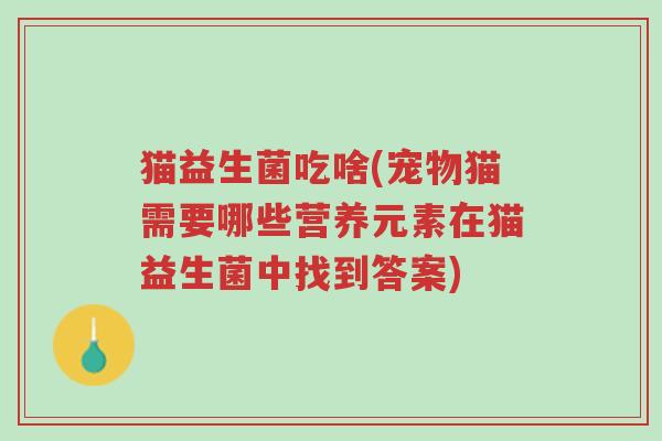 猫益生菌吃啥(宠物猫需要哪些营养元素在猫益生菌中找到答案)-第1张图片-超越 猫益生菌吃啥(宠物猫需要哪些营养元素在猫益生菌中找到答案)-第1张图片-超越