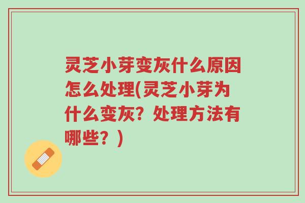 灵芝小芽变灰什么原因怎么处理(灵芝小芽为什么变灰?处理方法有哪些?)-第1张图片-超越 灵芝小芽变灰什么原因怎么处理(灵芝小芽为什么变灰?处理方法有哪些?)-第1张图片-超越
