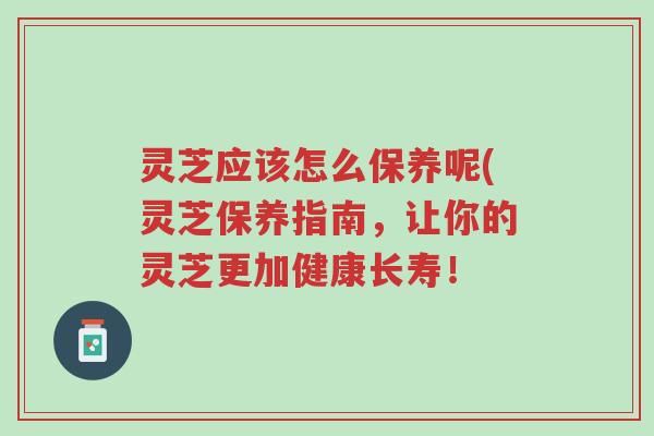 灵芝应该怎么保养呢(灵芝保养指南,让你的灵芝更加健康长寿!-第1张图片-超越 灵芝应该怎么保养呢(灵芝保养指南,让你的灵芝更加健康长寿!-第1张图片-超越