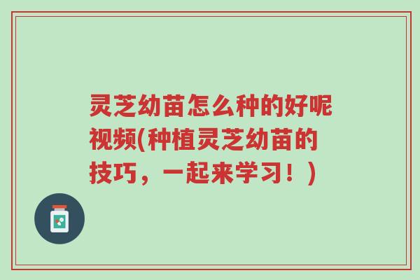 灵芝幼苗怎么种的好呢视频(种植灵芝幼苗的技巧,一起来学习!)-第1张图片-超越 灵芝幼苗怎么种的好呢视频(种植灵芝幼苗的技巧,一起来学习!)-第1张图片-超越