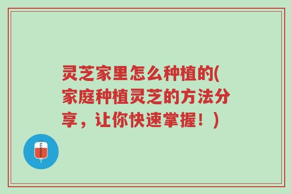 灵芝家里怎么种植的(家庭种植灵芝的方法分享,让你快速掌握!)-第1张图片-超越 灵芝家里怎么种植的(家庭种植灵芝的方法分享,让你快速掌握!)-第1张图片-超越