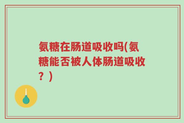 氨糖在肠道吸收吗(氨糖能否被人体肠道吸收?)-第1张图片-超越 氨糖在肠道吸收吗(氨糖能否被人体肠道吸收?)-第1张图片-超越