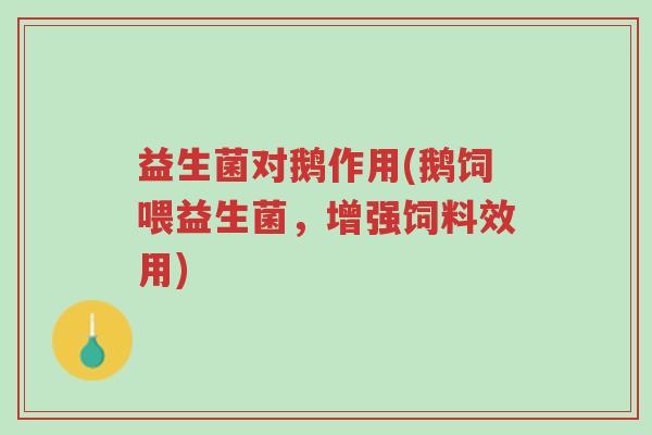 益生菌对鹅作用(鹅饲喂益生菌,增强饲料效用)-第1张图片-超越 益生菌对鹅作用(鹅饲喂益生菌,增强饲料效用)-第1张图片-超越