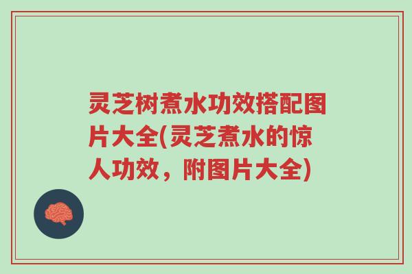 灵芝树煮水功效搭配图片大全(灵芝煮水的惊人功效,附图片大全)-第1张图片-超越 灵芝树煮水功效搭配图片大全(灵芝煮水的惊人功效,附图片大全)-第1张图片-超越