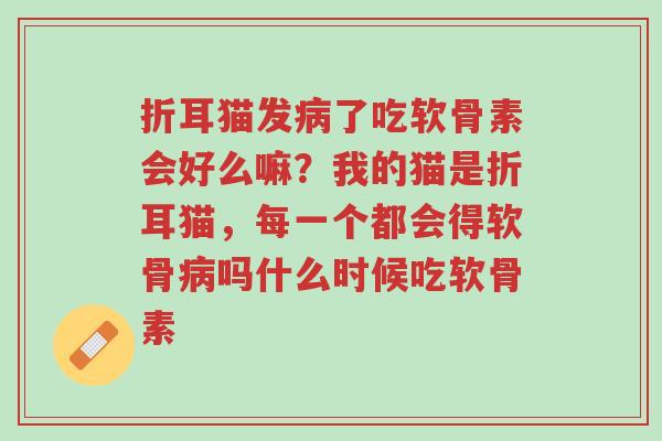 折耳猫发病了吃软骨素会好么嘛?我的猫是折耳猫,每一个都会得软骨病吗什么时候吃软骨素-第1张图片-超越 折耳猫发病了吃软骨素会好么嘛?我的猫是折耳猫,每一个都会得软骨病吗什么时候吃软骨素-第1张图片-超越